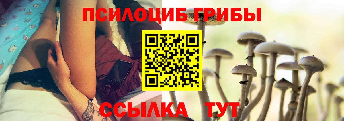 Галлюциногенные грибы мухоморы  Вход с VPN  Оренбург 