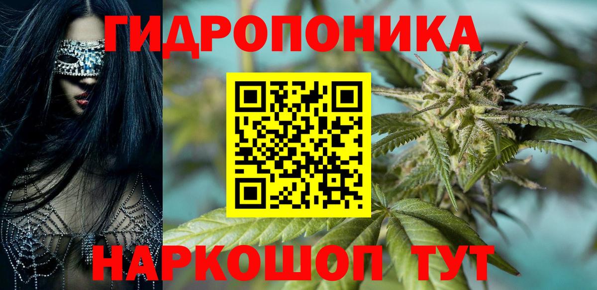 Каннабис Amnesia  Вход с VPN  Бошки марихуана семена  Оренбург 